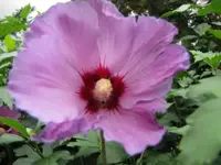013.webp