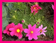 012.webp