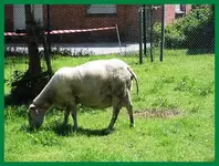 073.webp