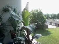 20140727_120430[1].webp