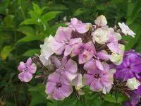 031_1024x768.webp