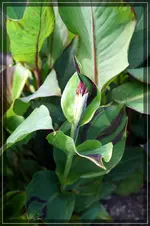 comp_DSC07260.webp