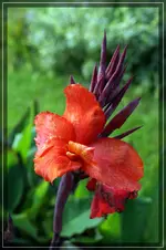 comp_DSC07261.webp