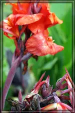 comp_DSC07301.webp