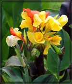 comp_DSC07302.webp