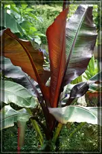 comp_DSC07308.webp