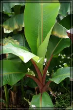 comp_DSC07309.webp