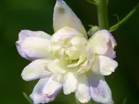 022.webp