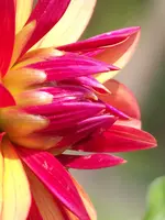 055.webp