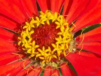 064.webp