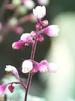 070.webp
