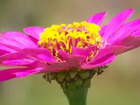 067.webp
