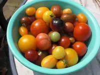CIMG9465.webp