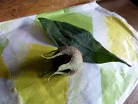P1020103.webp