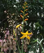DSCF3618.webp
