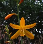 DSCF3619.webp