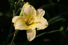 410_4.webp