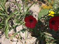 DSCF4041l.webp