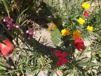DSCF4042l.webp
