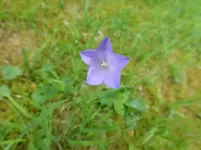 P1160934.webp