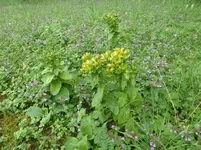 P1160930.webp