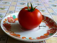 P1020292.webp