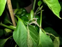 20140728_201449.webp