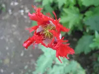 042.webp