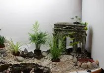 indoor_garden.webp
