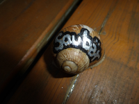 P1170245.webp