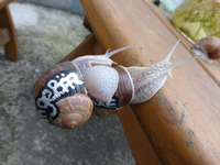 P1170230.webp