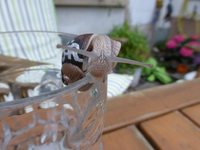 P1170236.webp