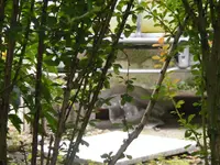 regenfaß.webp