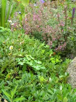 DSCN9186.webp