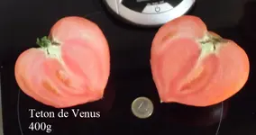 Teton-de-Venus.webp