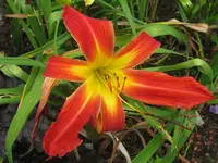 023_1024x768.webp