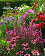 Hangbeet_multicolor.webp