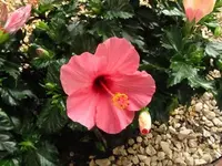 Bild 1442.webp