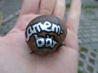 P1170270.webp