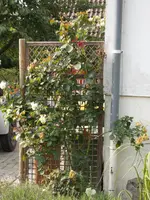 fotos 026.webp