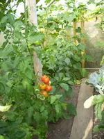 100_1577.webp