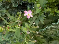 fotos 042.webp