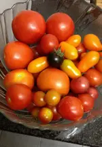 Tomate1.webp