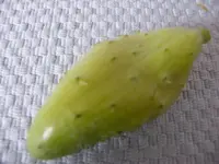 DSCF5434.webp