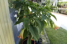 _DSC6772.webp