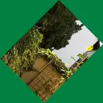 001.webp