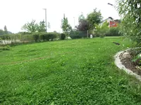 IMG_0591.webp IMG_0591.webp