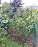 20140729_204418.webp