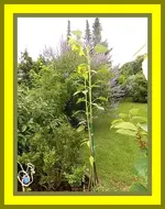 002.webp