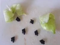 DSCF5437.webp